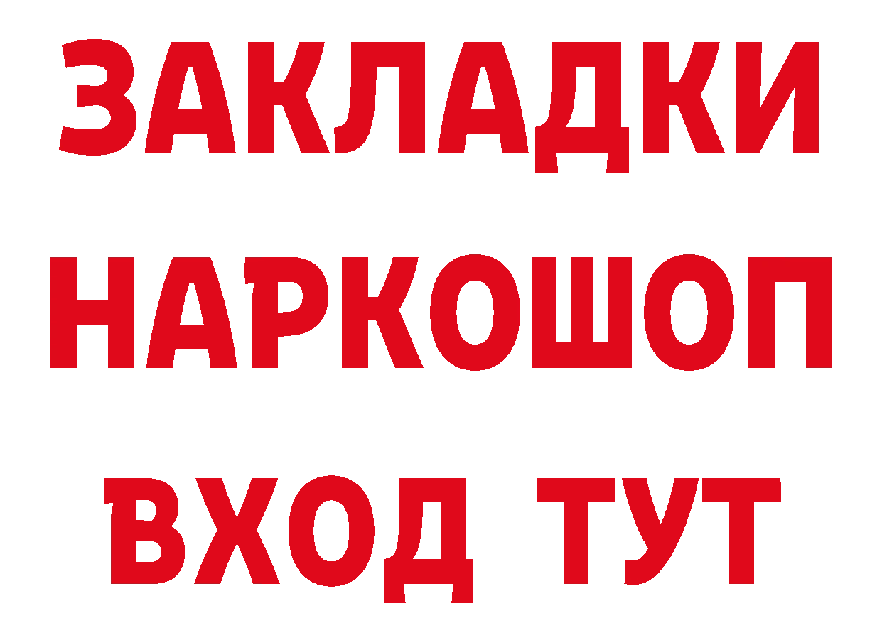 Псилоцибиновые грибы Psilocybe как войти сайты даркнета мега Горно-Алтайск