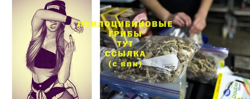 как найти закладки  кракен ссылки  Галлюциногенные грибы Psilocybe  Горно-Алтайск 